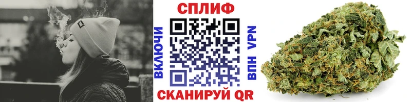 Конопля SATIVA & INDICA  Безенчук 